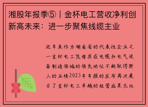 湘股年报季⑤｜金杯电工营收净利创新高未来：进一步聚焦线缆主业